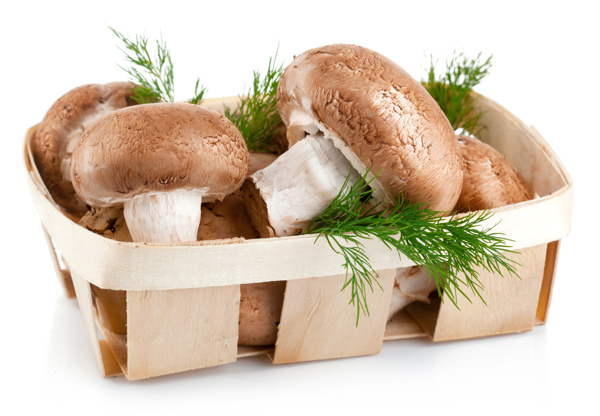 高清木框里的香菇
