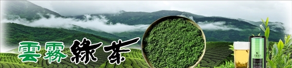 茶背景云雾绿茶