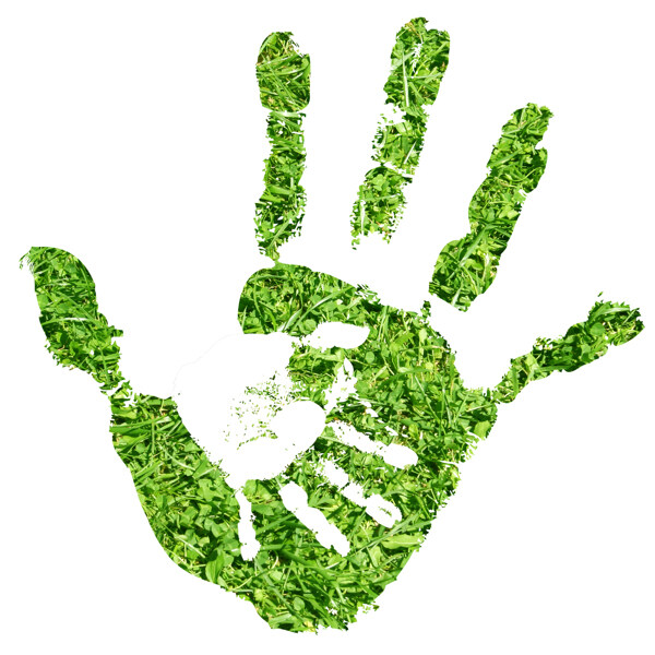 绿草组成的手掌