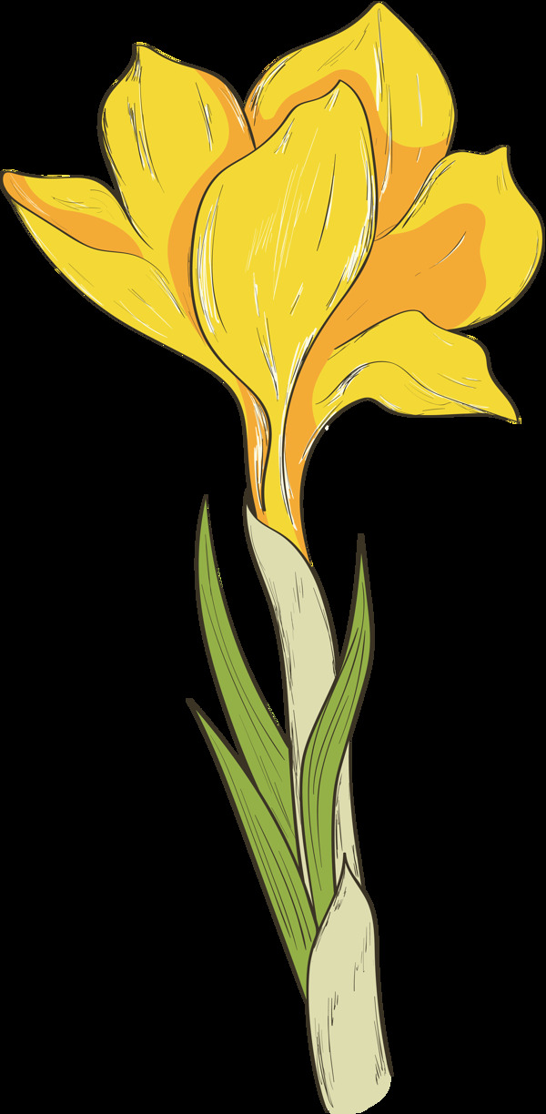 手绘一朵绽放的黄色花透明花朵素材