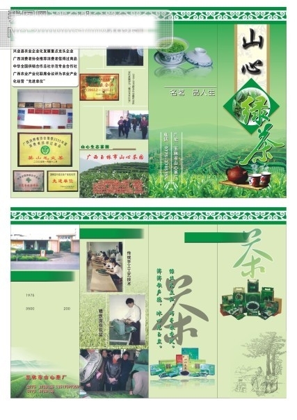 绿茶画册设计绿茶茶园茶壶画册广告设计画册设计矢量图库CDR