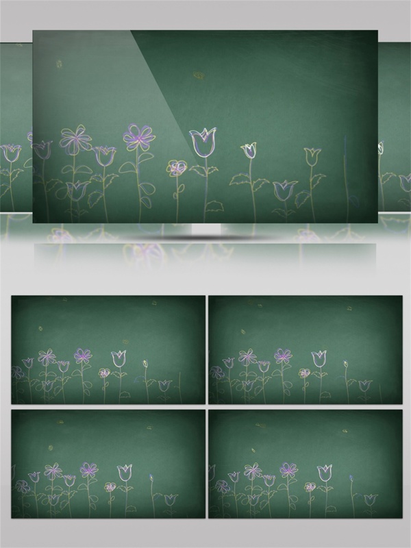 拍摄黑板上的花卉视频音效