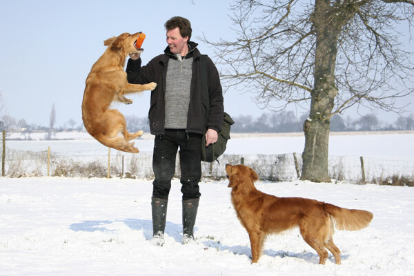 雪地里的驯狗师与狗狗图片