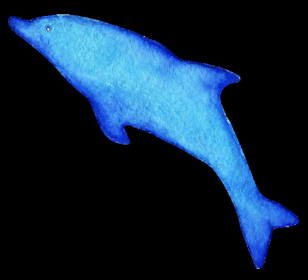 蓝色海豚明素材