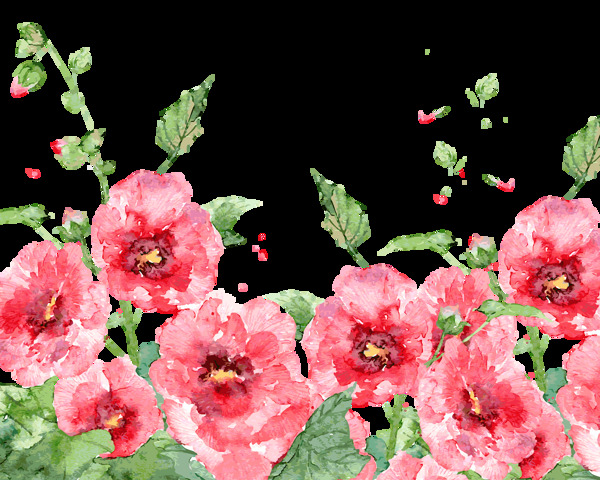 手绘植物花卉花丛透明素材装饰