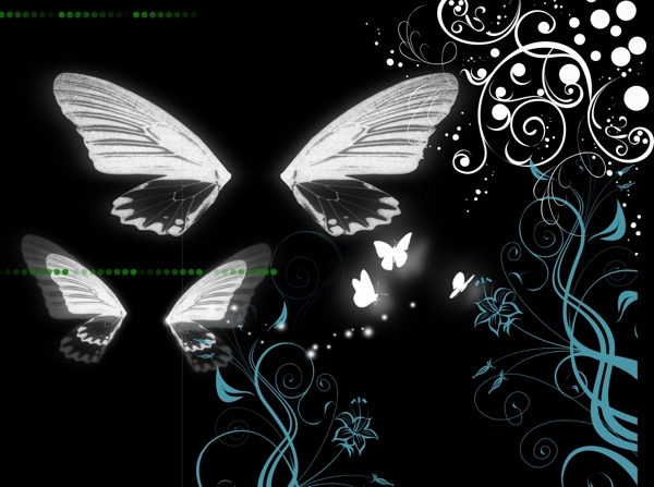 花纹蝴蝶翅膀图片