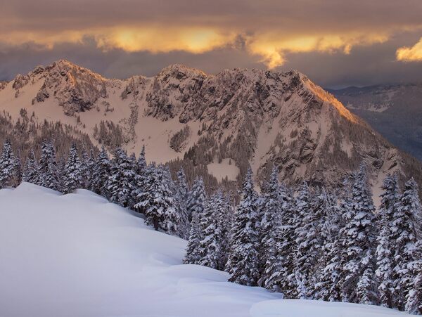 夕阳下雪景图片