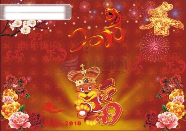 2010年虎