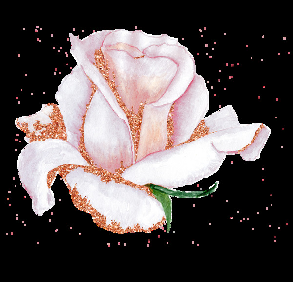 手绘淡粉色玫瑰花png透明素材