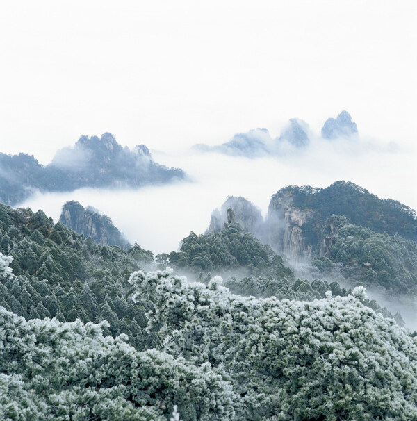 唯美雪山图片