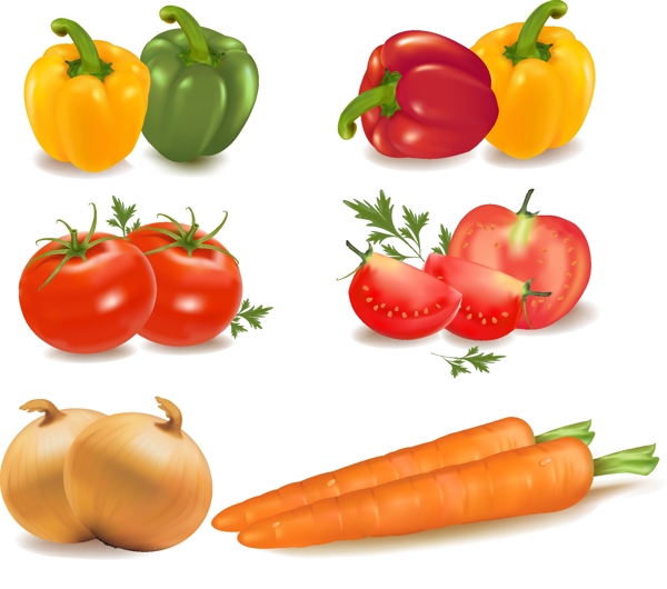 蔬菜矢量图图片