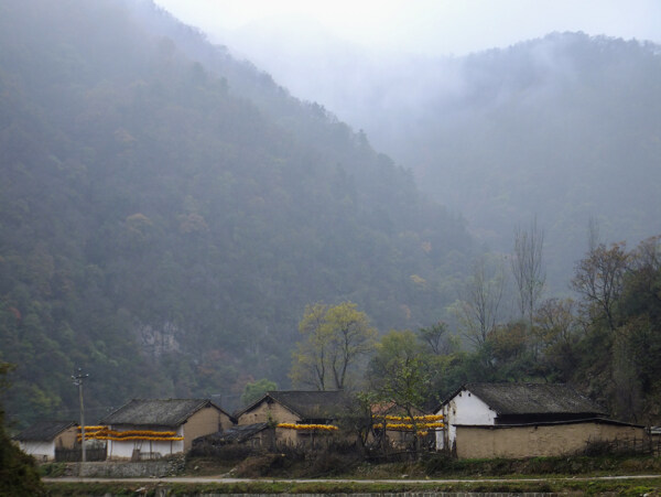 烟雨飘渺的乡村图片