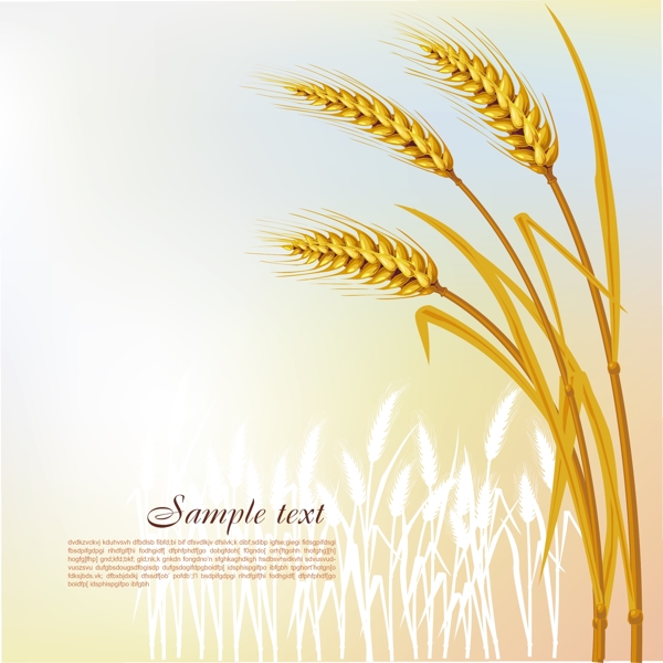 小麦粮食丰收麦子矢量素材图片