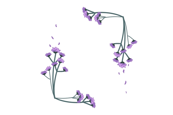 紫色小花春天边框