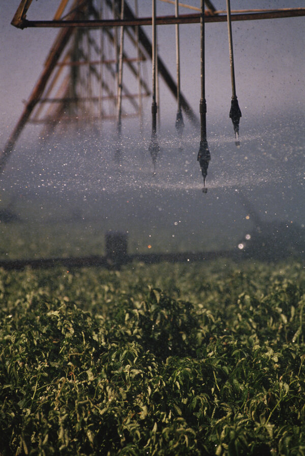 自动灌溉系统六图片