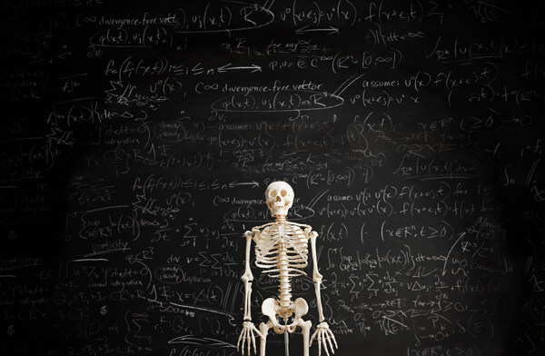 黑板前的人体骷髅骨骼图片