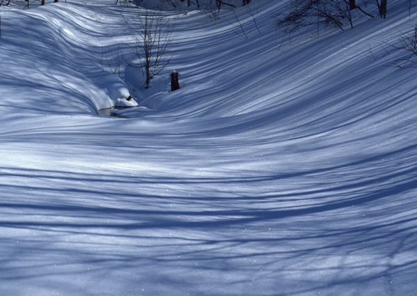 冬天雪景雪景大雪