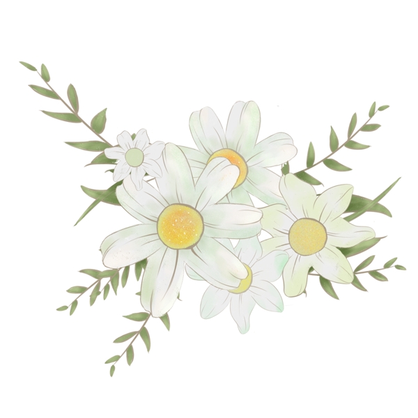 手绘春天植物白色花插画