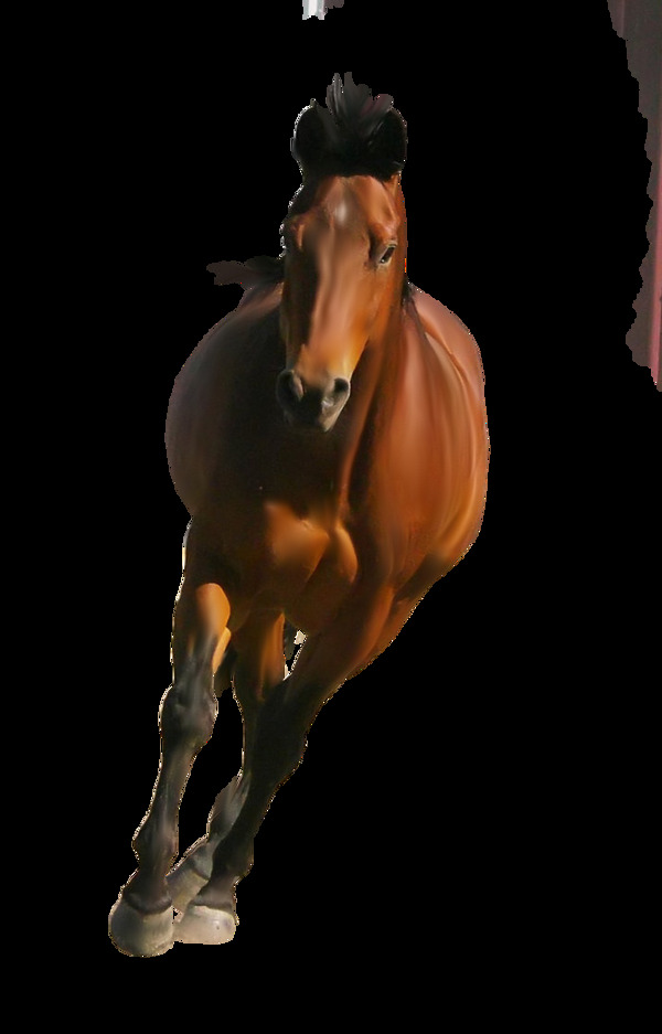 奔跑的棕色马免抠png透明图层素材