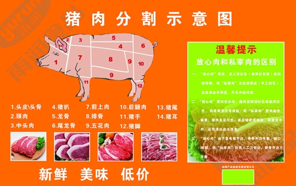 雨润食品猪肉分割图