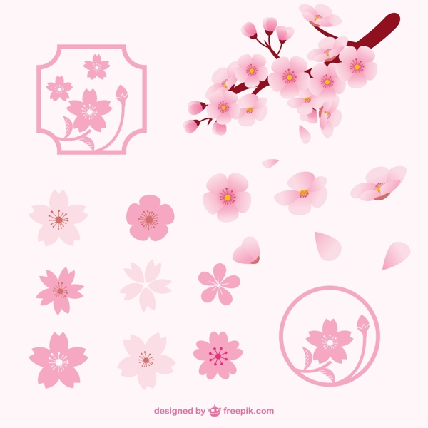 樱花花瓣