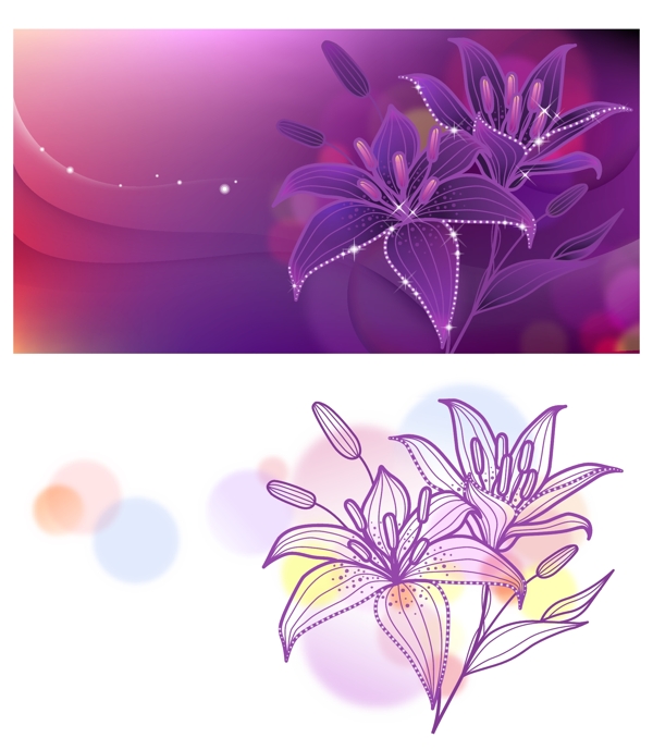 紫色梦幻的百合花插画集合