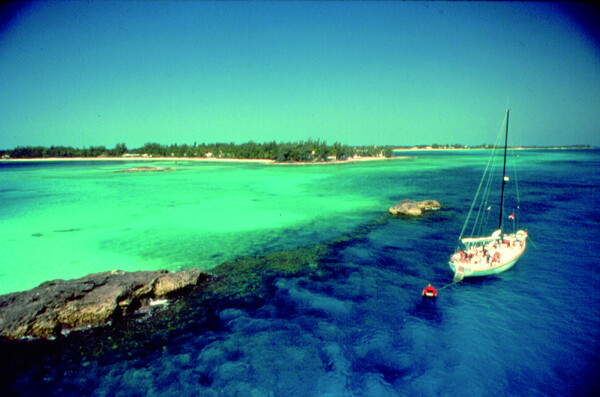 巴哈马美丽海滩图片