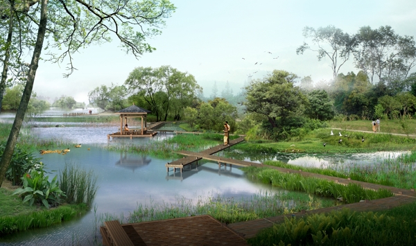 湿地公园环境设计