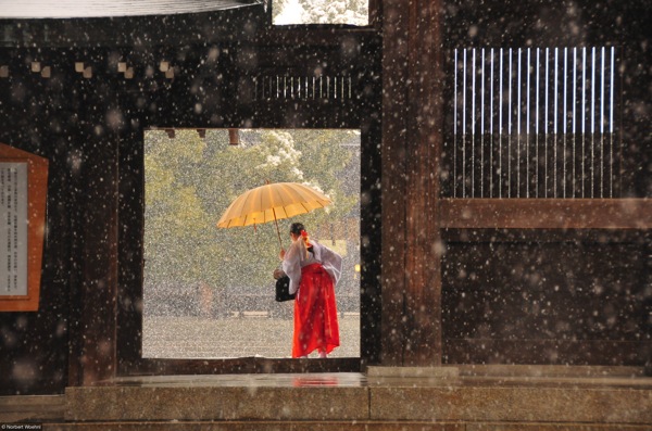 明治神社