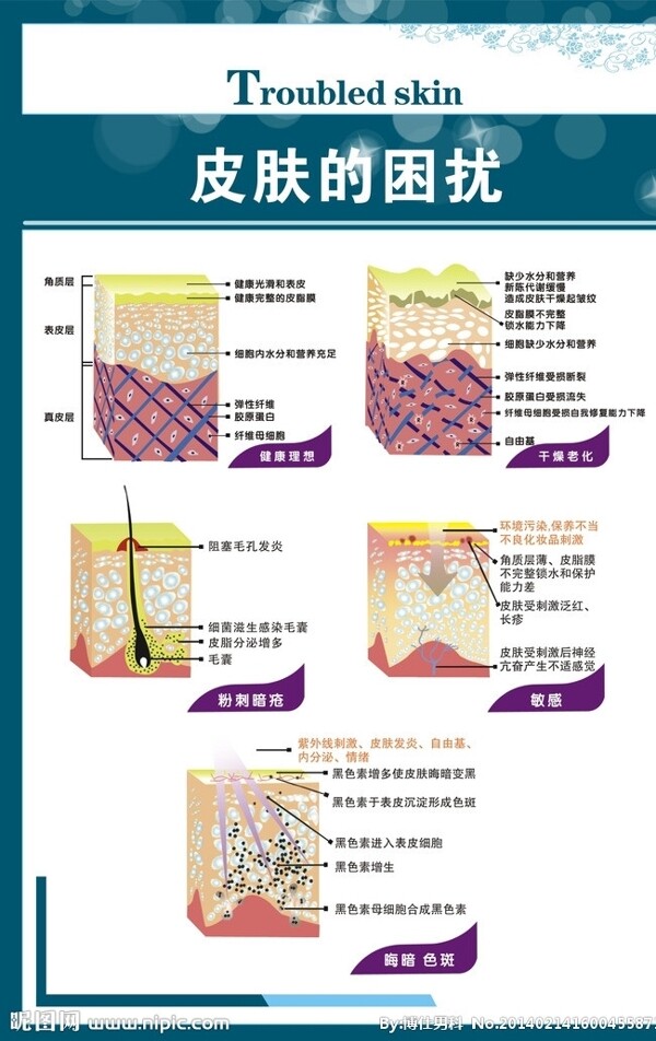 皮肤的困扰图片