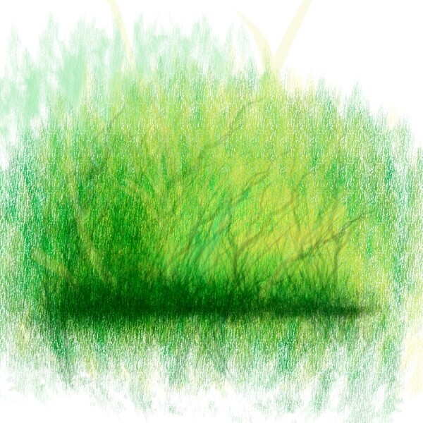 绿色水边的灌木丛元素