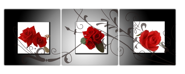 玫瑰无框画素材图片