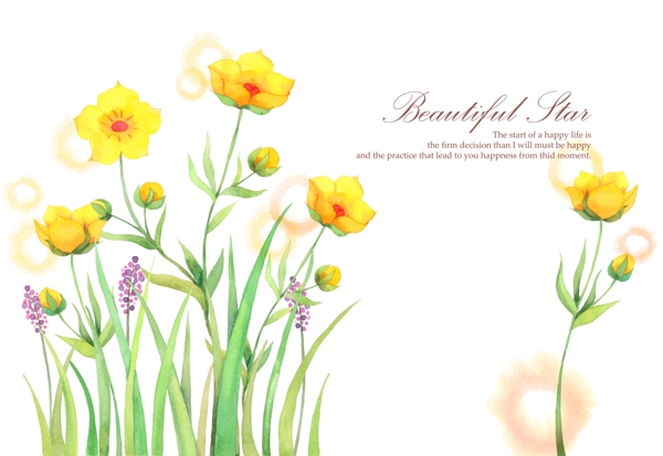 手绘唯美花卉植物插画PSD分层素材