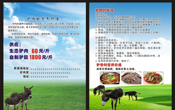 驴肉营养价值宣传单