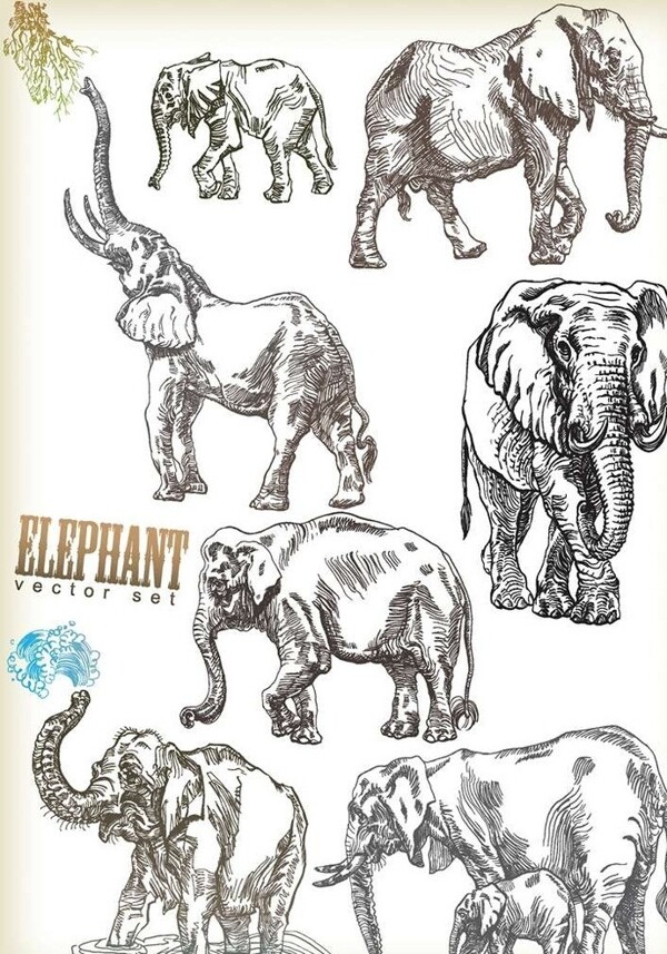 大象卡通动物设计动画图片