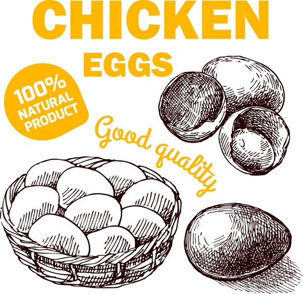 鸡蛋设计图