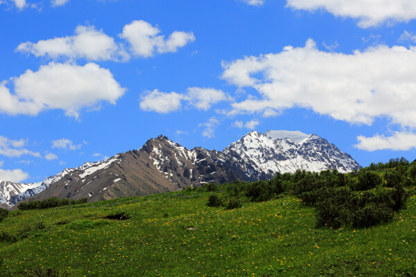 新疆天山风景