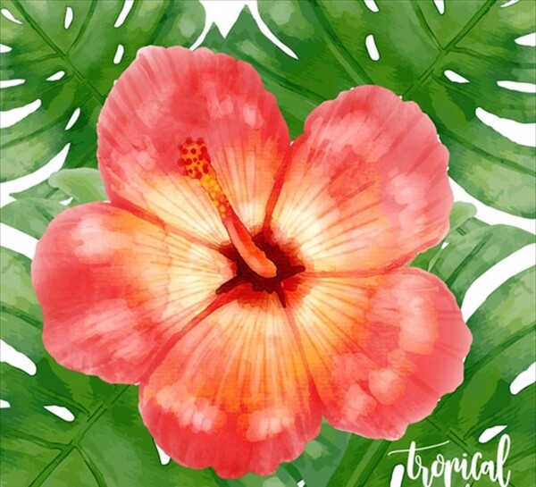 手绘水彩热带花卉
