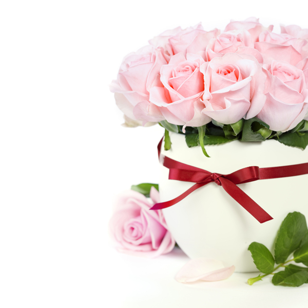 粉色玫瑰花花瓶图片