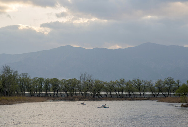 北京稻香湖春天风景