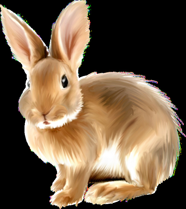 棕色毛发兔子免抠png透明图层素材