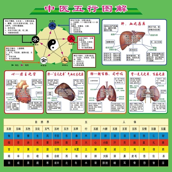 中医五行图