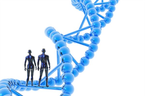 人类DNA图片
