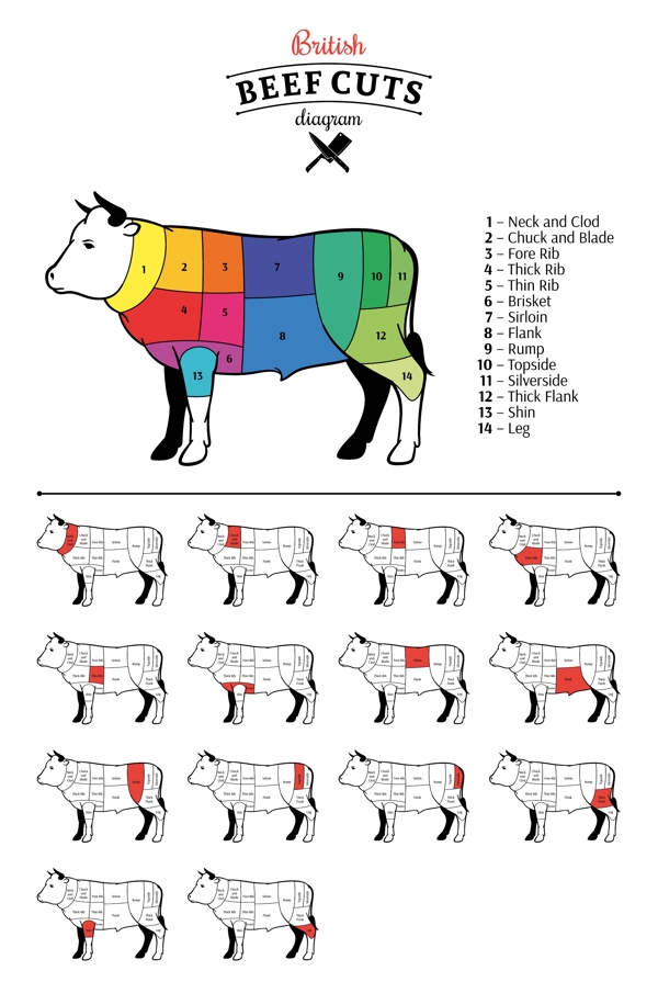 牛的部位分割图