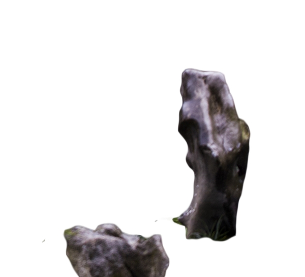 两块奇形怪状的石头