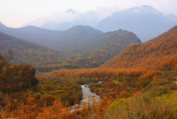 临夏太子山风光图片