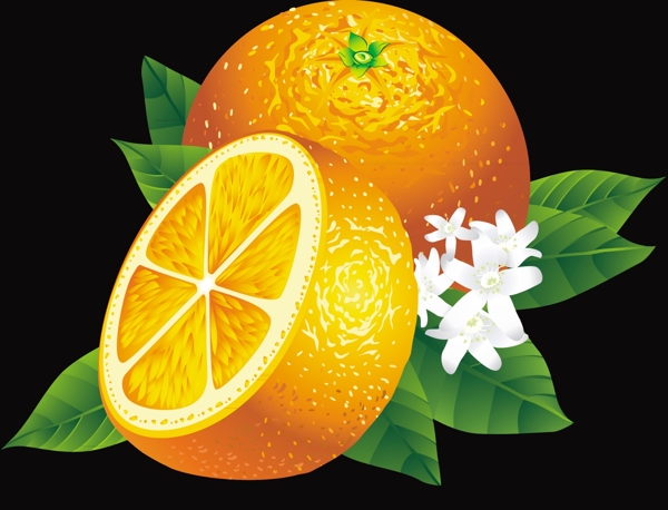 鲜橙水果图片