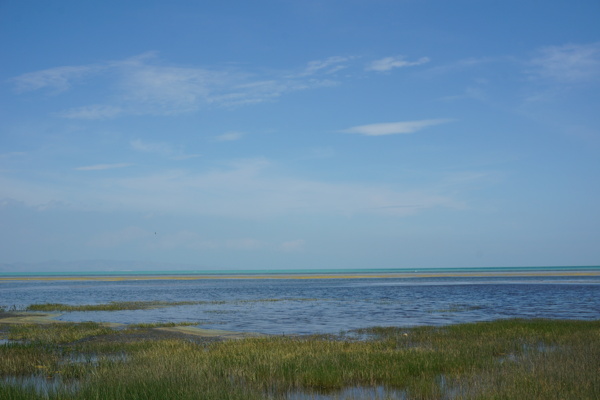 青海湖图片