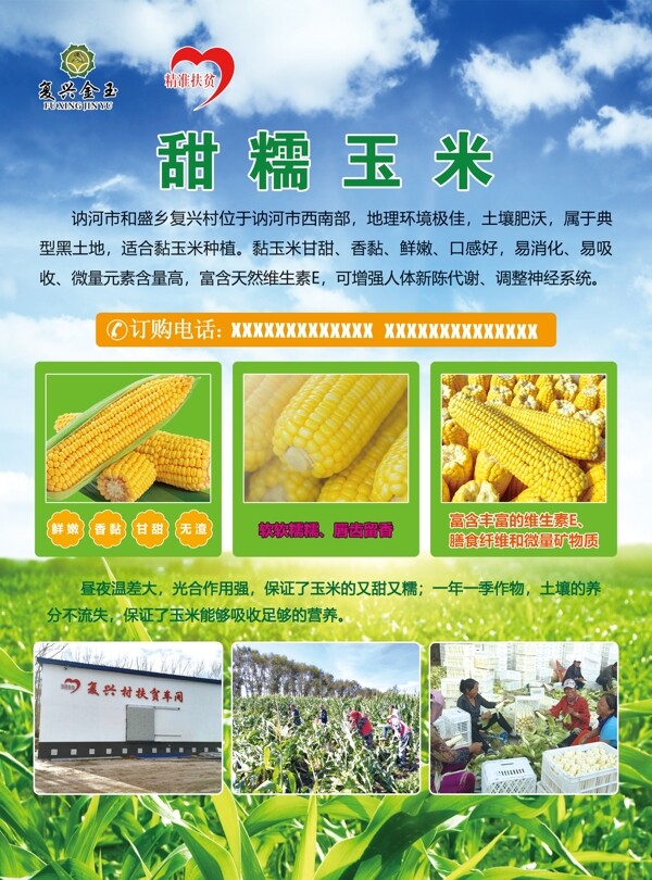 甜糯玉米展销宣传单图片