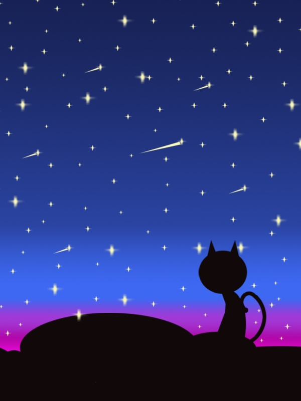 夜空下失眠的猫背景